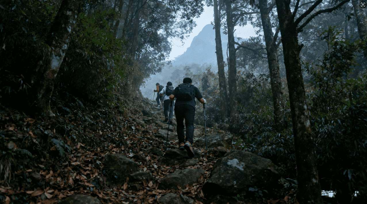 小米手机蘑菇加速器下载与安全安装步骤